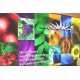 Imagin applicazione su banner plastificati