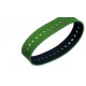 Cinghia di rallentamento fogli piatta Speedmaster CD/SM102 XL105
